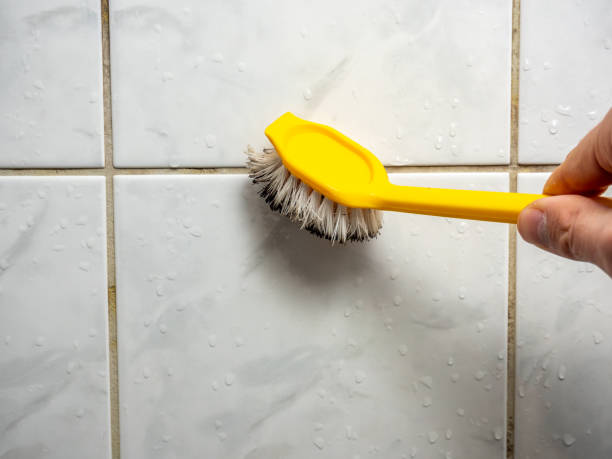 Best Attic Mold Removal  in Kenwood, OH